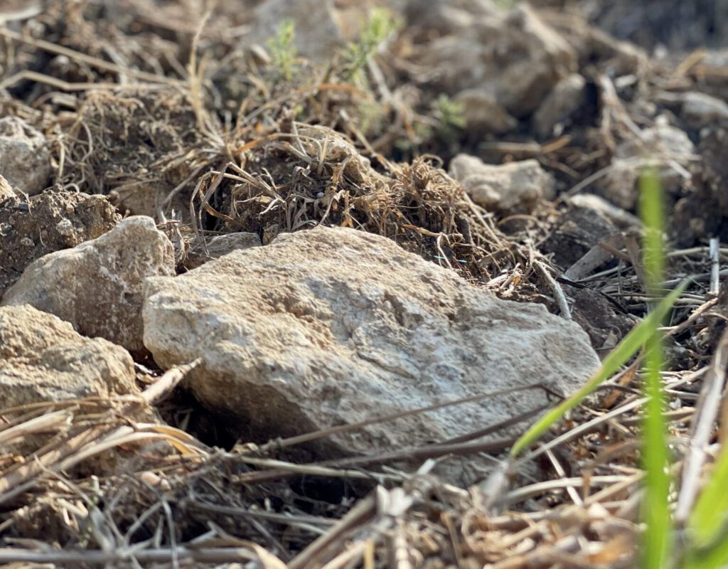 Crémant de Bourgogne