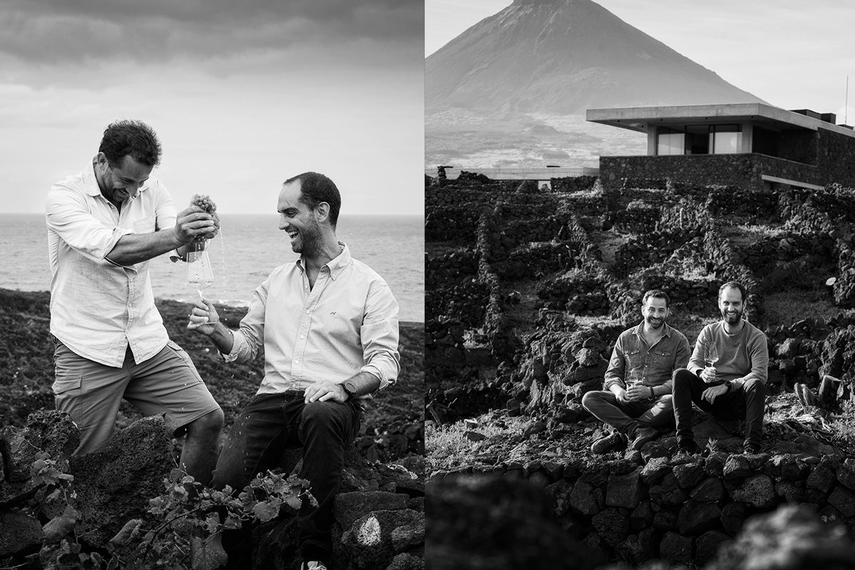 Azores Wine Company