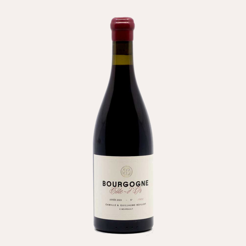 Camille & Guillaume Boillot Bourgogne Côte d’Or 2024