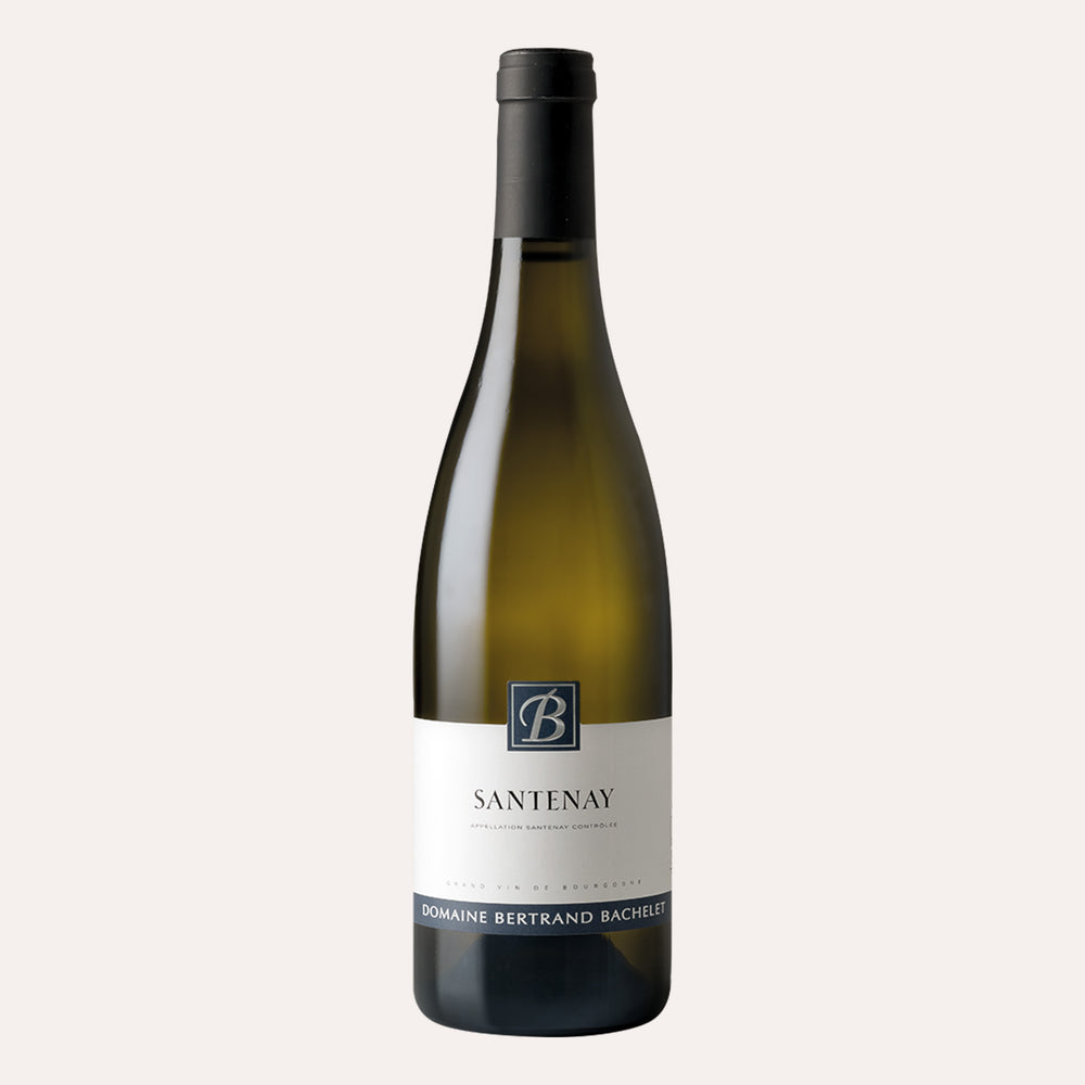 Domaine Bertrand Bachelet Santenay 2024