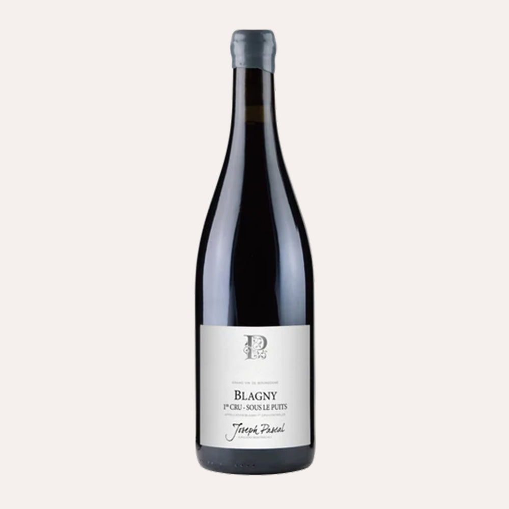 Domaine Joseph Pascal Blagny 1er Cru 'Sous le Puits' 2019