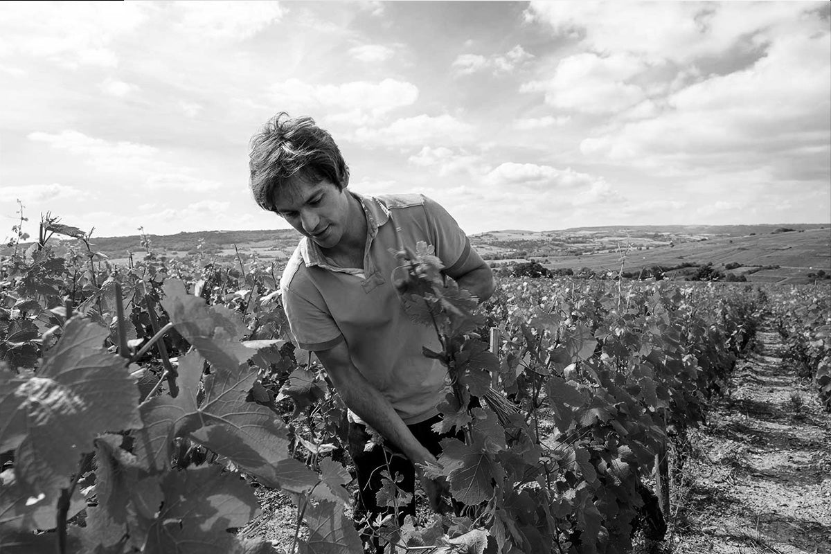 Domaine Bertrand Bachelet