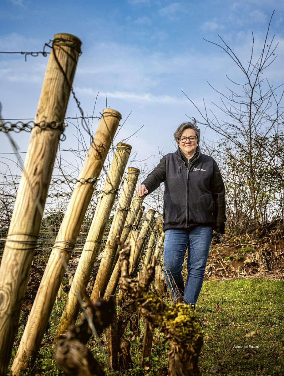 Domaine Joseph Pascal