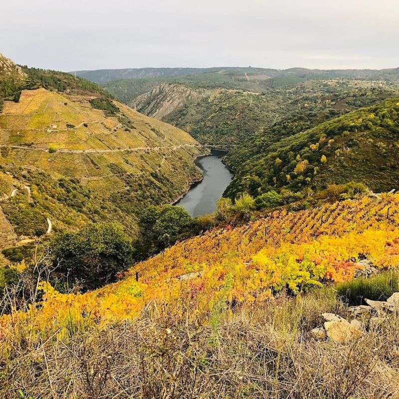 Galicia – Ribeira Sacra
