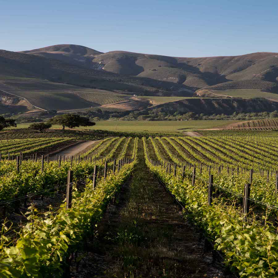 California – Sta. Rita Hills