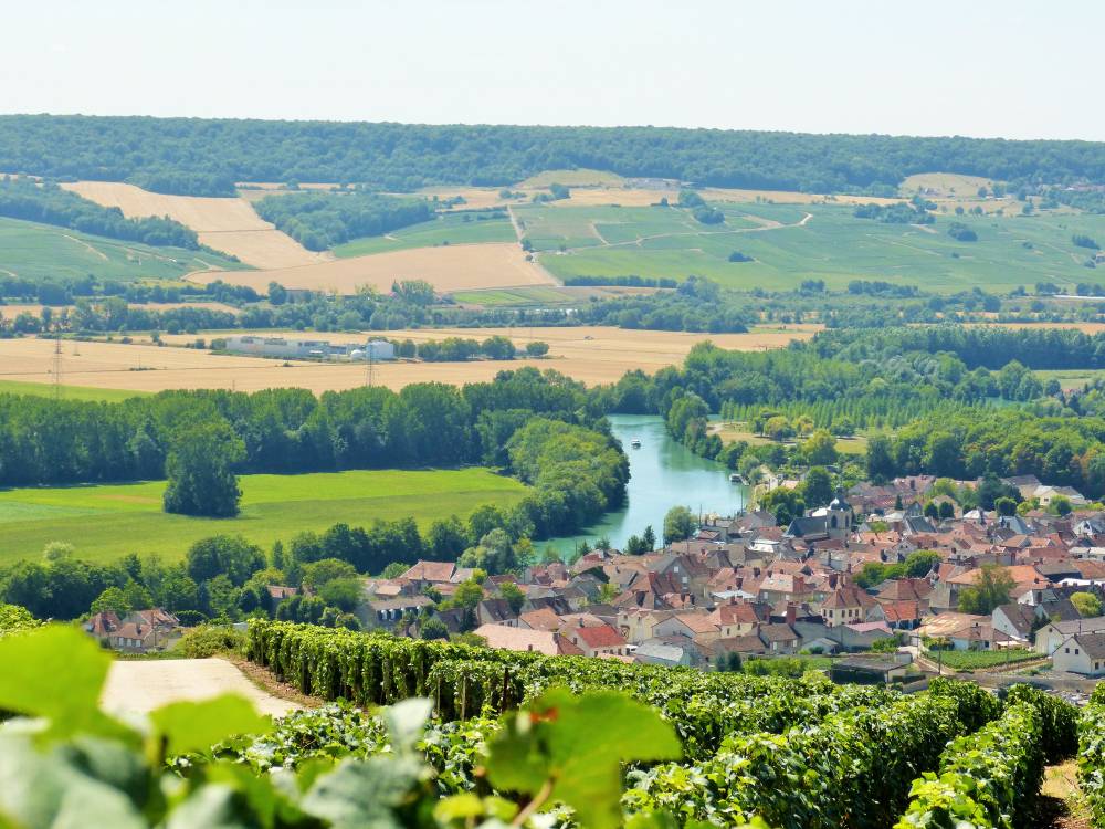Vallée de la Marne